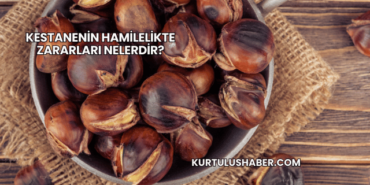 Kestanenin Hamilelikte Zararları Nelerdir?