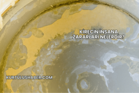 Kirecin İnsana Zararları Nelerdir?