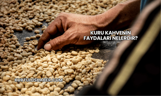 Kuru Kahvenin Faydaları Nelerdir?