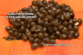 Kuru Papayanın Faydaları Nelerdir?