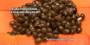 Kuru Papayanın Faydaları Nelerdir?