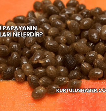 Kuru Papayanın Faydaları Nelerdir?