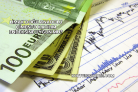 Limak Doğu Anadolu Çimento Katılım Endeksine Uygun mu?
