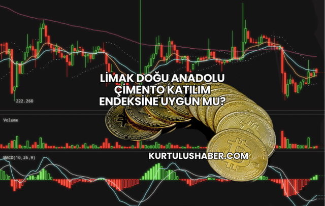 Limak Doğu Anadolu Çimento Katılım Endeksine Uygun mu?