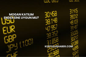 Mogan Katılım Endeksine Uygun mu?