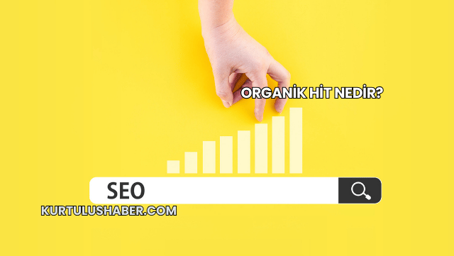 Organik Hit Nedir?
