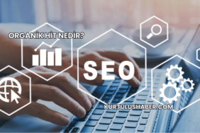 Organik Hit Nedir?