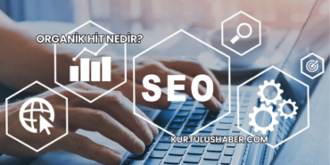 Organik Hit Nedir?