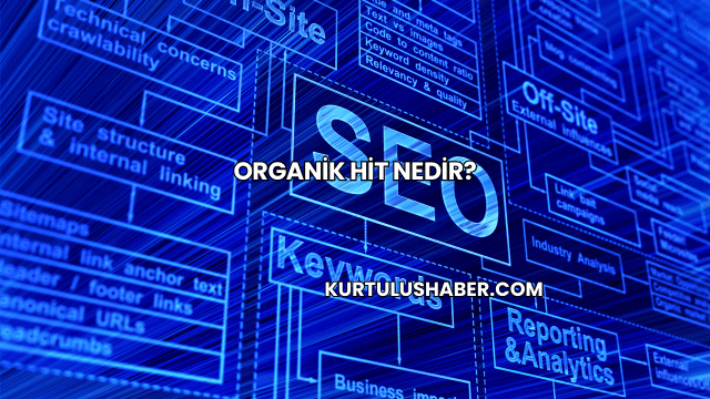 Organik Hit Nedir?