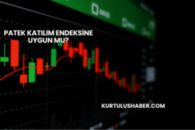 Patek Katılım Endeksine Uygun mu?