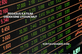 Pegasus Katılım Endeksine Uygun mu?