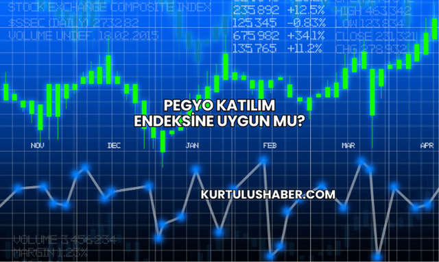 Pegyo Katılım Endeksine Uygun mu?