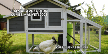 Salma Tavukçuluk Kümes Maliyeti 2025