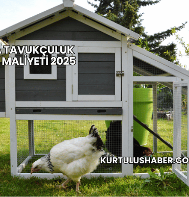 Salma Tavukçuluk Kümes Maliyeti 2025