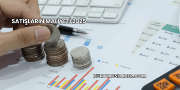 Satışların Maliyeti 2025
