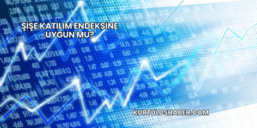 Şişe Katılım Endeksine Uygun mu?