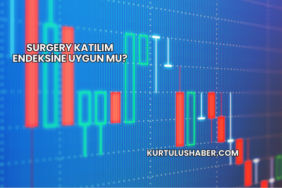 Surgery katılım endeksine uygun mu?