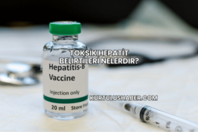 Toksik Hepatit Belirtileri Nelerdir?