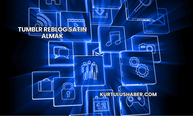 Tumblr Reblog Satın Almak