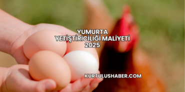 Yumurta Yetiştiriciliği Maliyeti 2025