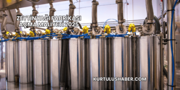 Zeytinyağı Fabrikası Açma Maliyeti 2025