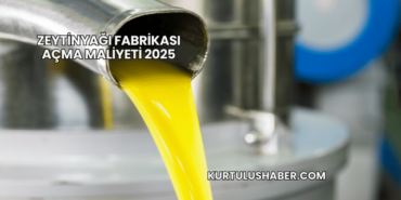 Zeytinyağı Fabrikası Açma Maliyeti 2025